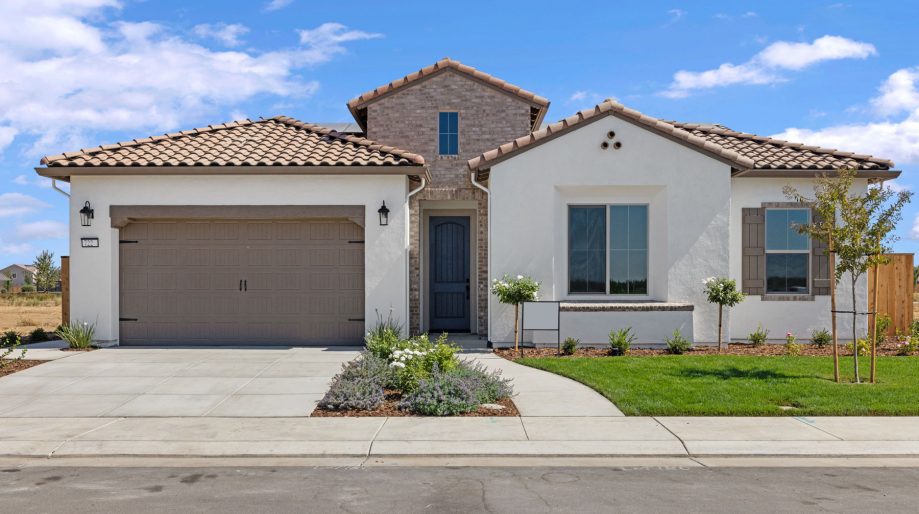 Lot 180 - The Barcelona