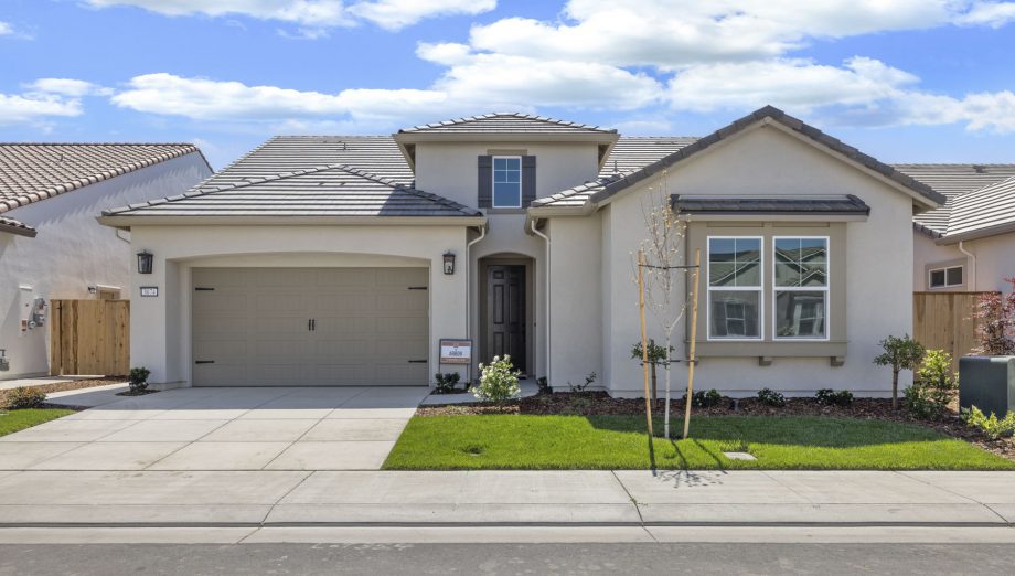 Lot 354 - Arbor