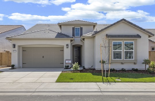 Arbor